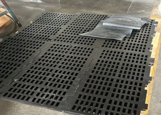 Long Service Life Rubber Screen Panel for Ore Screening