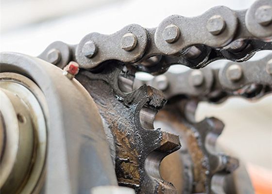 Customized Chain Conveyor Belt  In Pulp And Paper Making Industry