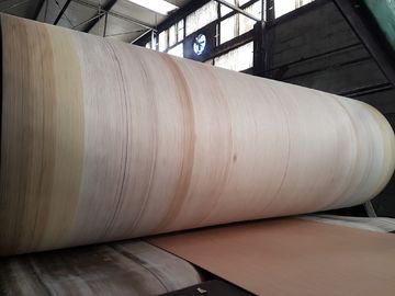 A durabilidade alta da correia do ondulador da borda de Aramid para BHS, FOSBER, MARQUIP corrugou a linha